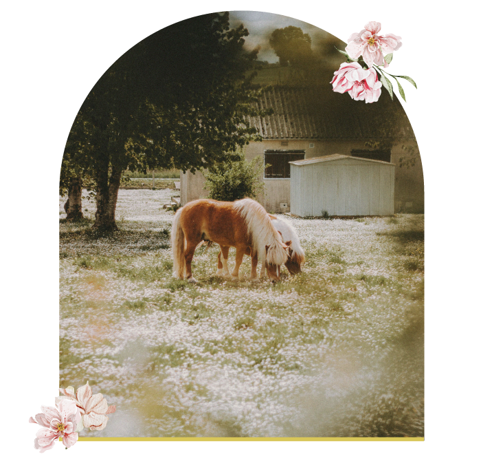 20240524 Aroma Mobile Only Assets V2 07 Sky Resources Aroma Alchemy