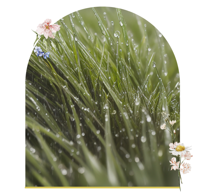 20240524 Aroma Mobile Only Assets V2 08 Sky Resources Aroma Alchemy