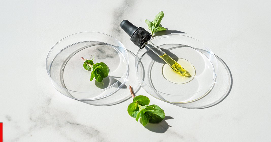 Peptides Skincare Blog Large Sky Resources Peptides for Skincare: What They Are and What Are the Benefits?