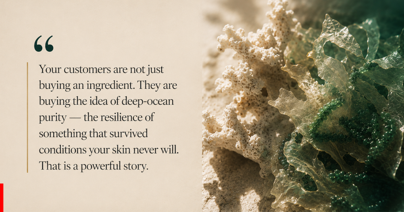 The Rise of Marine Skincare: Why Ocean-Derived Ingredients Are Taking Over Beauty Formulations - Sky Resources